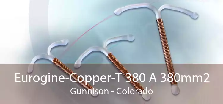 Eurogine-Copper-T 380 A 380mm2 Gunnison - Colorado